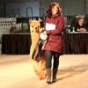 2017 Canadian National Alpaca Futurity Brown Reserve Champion