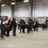 Canadian National Alpaca Futurity Results