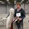 Canadian National Alpaca Futurity Results