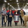 Canadian National Alpaca Futurity Results