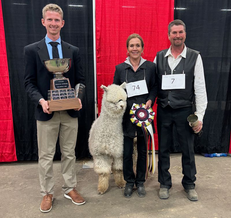 2024 Canadian National Alpaca Futurity Supreme Champion