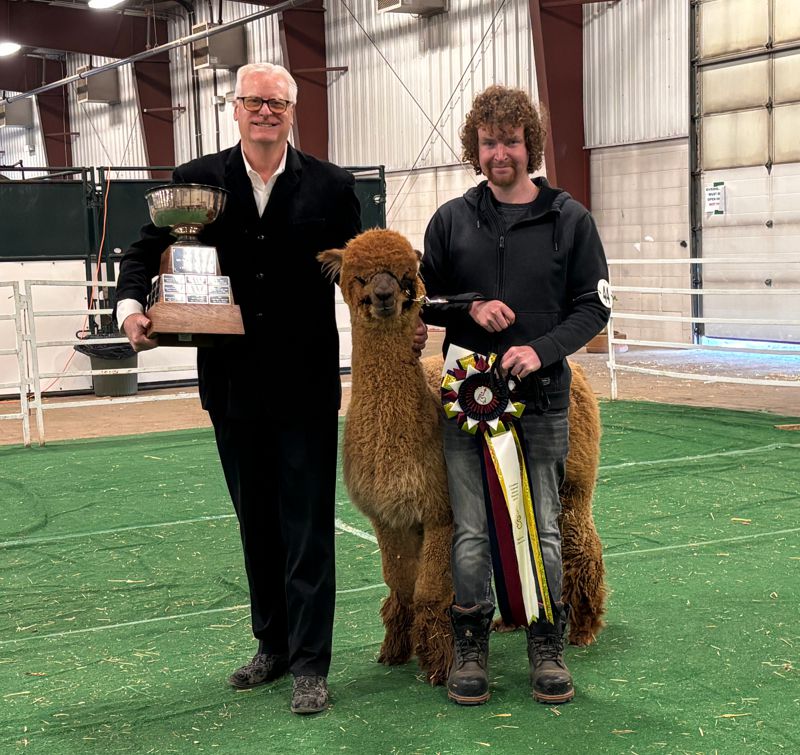 2025 Canadian National Alpaca Futurity Supreme Champion