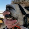 Bite: FTP Borealis