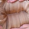 Fleece: FTP Borealis