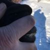 Bite: Spruce Park LuSenza