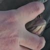 Bite: TnC Suzanne what happens in Vega