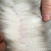 Fleece: Main Stream's Peruvian Symphony