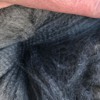 Fleece: Spruce Park Flicka Flash