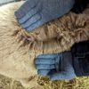Fleece: Arriba Gem