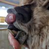 Bite: Arriba Talisa
